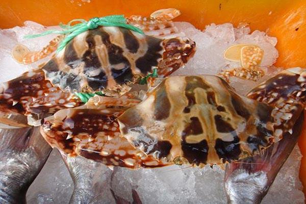 澎湖美食